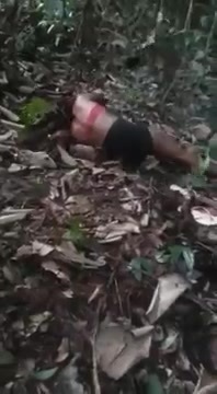 Brazilian Woman Executed By Drug Cartel Members