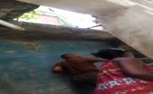 Nigerian Woman Cat Fight