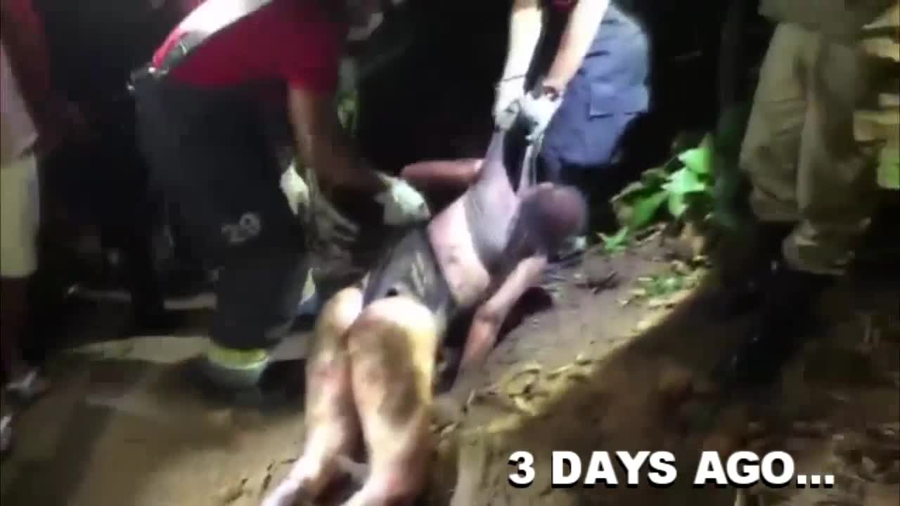 Revenge on Killer Girls From Brazil - on horriblevideos.com