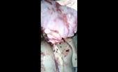 Killer showing ripped heart on camera