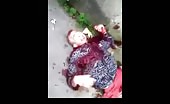 Brazilian young guy shot and bleeding
