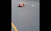 Naked Lady Road dancing
