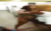 Bitches Fight