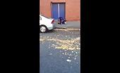 Black Guys Fighting On Sidewalk 