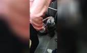 Pickpocket beaten on the transport