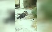 (repost) fear monger executed by us armed force