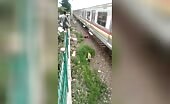 Train obliterates crazy child