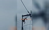 Man bites the dust shocked (with high voltage energy)