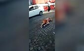 Lady was squashed by truck