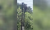 Mental fella gets destroyed subsequent to climbing electric shaft