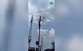 Buddy shocked attempting to eliminate pet bird from power line