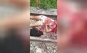Young lady guillotined in the railroad track