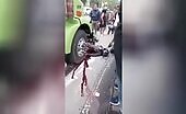 Deadly bike mishap