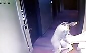 Mandarin pair entraped outside after making an effort outside fucking