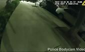 Chicago police officer fatally fires guy that fired weapon in the course of chase in