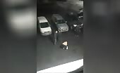 Drunk girl throwing rocks at an automobile gets painful fate theyn