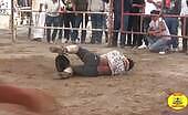 Excess fat bull rider was completely stepped on