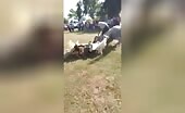 Guy fatally hurt in the course of steed nationality