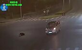 Good zebra going across crash in anhui