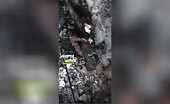Venezuelans burn a colombian loved ones of daddy, mother and also 2