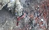Ukrainian Soldier Put Out Of His Misery theYNC