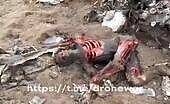 Upshot of russian chopper gunned down