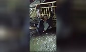 Claimed criminal hurt by sierra leone cops