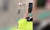 An angry bull throws a dude along with horns like a toy uncenso