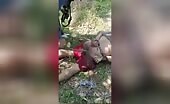 Cartel participant fucked a dead rival along with a tree division un