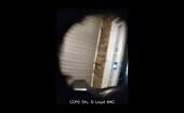 Georgia female shoots female police officer while reacting to a ca