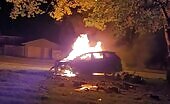 Man burns to fatality in his own vehicle after raking right into a plant