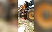 Unpleasant fatality, man shot in agony on top of a tractor unce