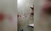 Harakiri uncensored videos murders, completions, suicide,