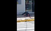 Hit man ends up off his sufferer quickly (complete).