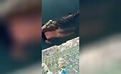 Substantial crocodile strikes as well as eliminates a guy in mexico( new angle).