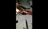 Individual atrocities you may experience with the video