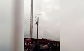 Moron went up an electric pole attempting to receive a pigeon unce