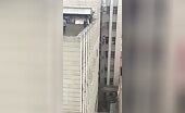 Simpleton could not be stopped from hopping from the 7th floor