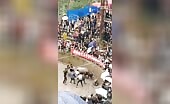 Instant disappointment hopping in the ring
