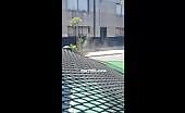 Intoxicated haitian tosses themself to fatality after firing a.
