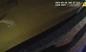 Jacksonville officer suffers crucial injuries after being actually s.
