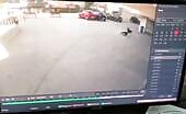 Landing of a 15-year-old gal after diving coming from a high-rise