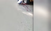 Reduced one-half of man's body crushed by huge trailer uncensore