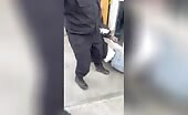 Mexico canine used to educate crook a session