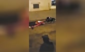 Man completely trampled through rottweiler, left behind indistinguishable theyn