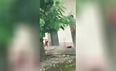 Guy gets mauled by own pitbull