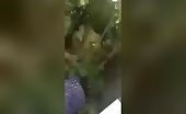Male receives stabbed after that his human brains acquire burnt out!