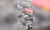 Guy ended up being a cookout in the street