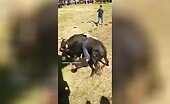 Really fucked through mexican bull