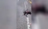 Horrible incident, many torn bodies scattered along the street